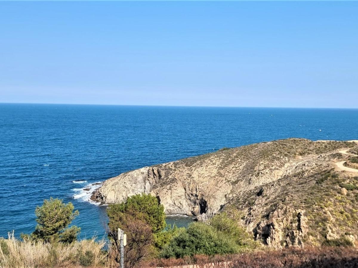 Appartement T2 Avec Terrasse, Parking, Wifi, Proche Plage - Fr-1-309-373 Banyuls-sur-Mer Εξωτερικό φωτογραφία